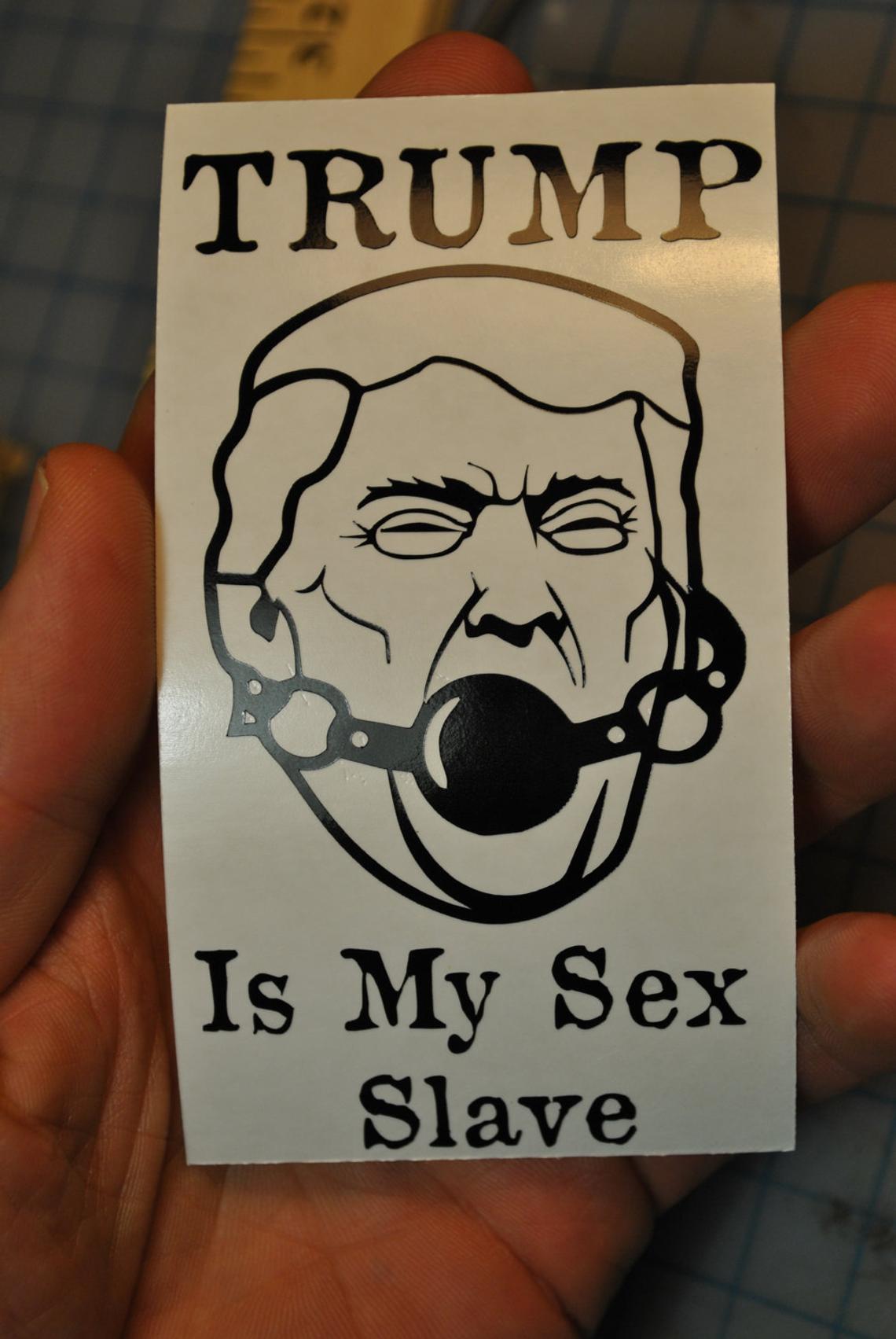 Donald Trump Is My Sex Slave Vinyl Sticker/Decal – Future Crash